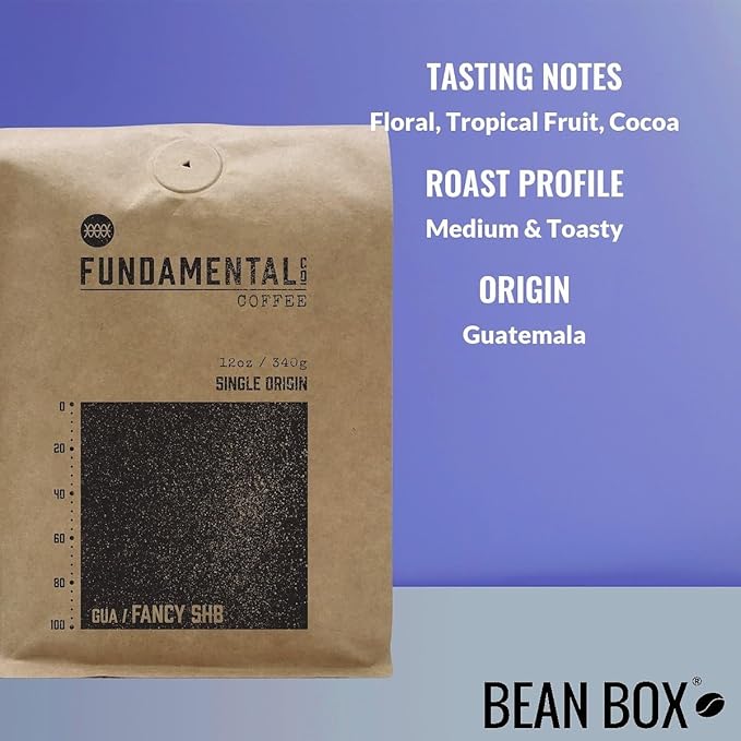 Bean Box Sampler - Roasted by Fundamental Company 2-Pack Freshly Ground Coffee Gourmet Coffee
