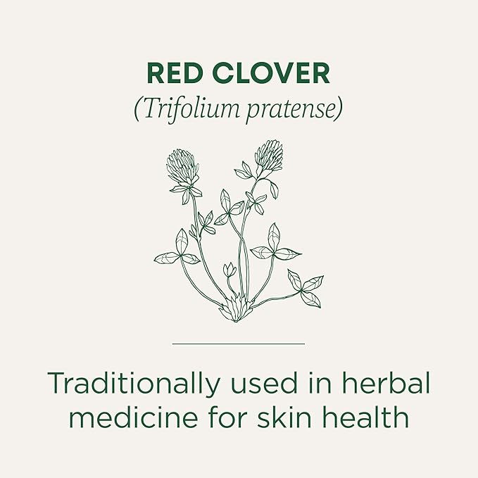 Traditional Medicinals Organic Red Clover Herbal Tea 16 Count (Pack of 6)