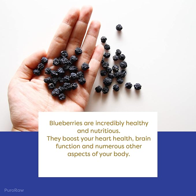 PuroRaw Dried Blueberries No Sugar Added 2 lbs. Blue Berries Fruit Dehydrated Blueberries Fresh Dried Blueberries Bulk Blueberry Raisins. All Natural Non-GMO Batch Tested 2 pounds