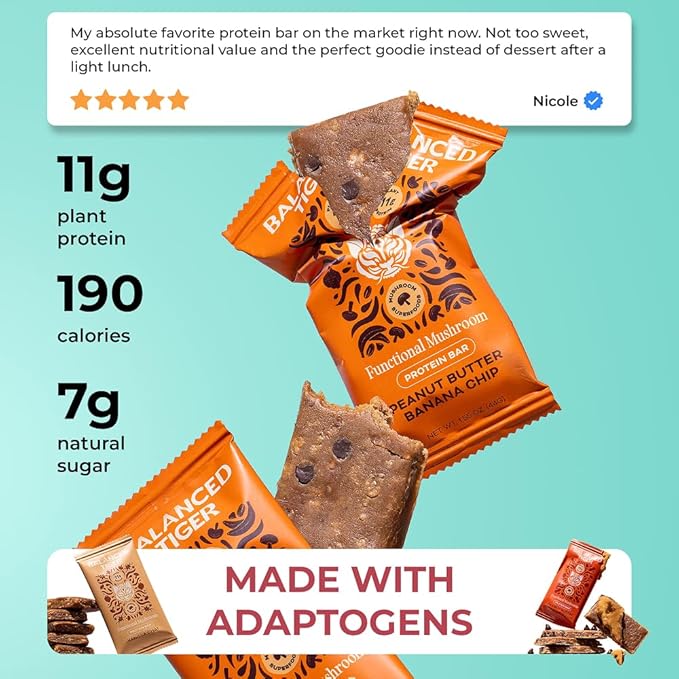 Functional Mushroom Vegan Protein Bars | Made in USA | Full Dose (1500mg) Lions Mane Chaga Reishi &amp Cordyceps Bars | Plant Protein Bars w/Adaptogens &amp Superfoods | Peanut Butter Chocolate Fl