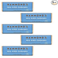 Hammond’s Candies Gourmet Chocolate Candy Bars – Natural Sea Side Caramel | Sweet Milk Chocolate Bar Salted Caramel Premium Ingredients Certified Kosher Handcrafted in the USA | Pack of 5