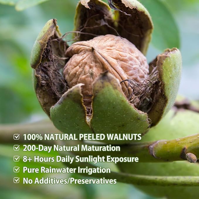 Naturebliss Premium Peeled Walnuts Halves Skinless Raw Walnuts Texture Sweet Crisp No Salt Added Healthy Nuts Power Snacks Ideal for Salads Baking and Cooking (10 OZ/Pack of 1)