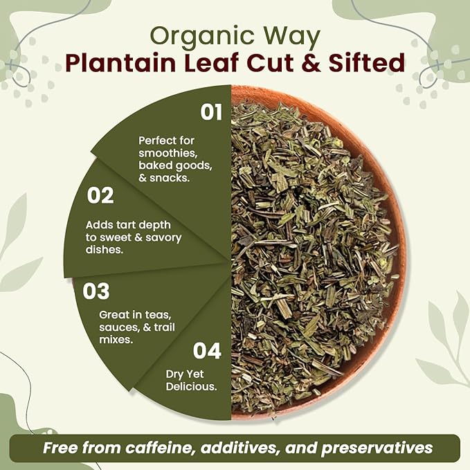 Organic Way Plantain Leaf Cut and Sifted - Herbal Tea | European Wild-Harvest | Organic &amp Kosher Certified | Non GMO &amp USDA Certified - Origin Albania (16 Ounce Pack)