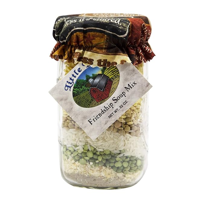 FRIENDSHIP SOUP MIX
