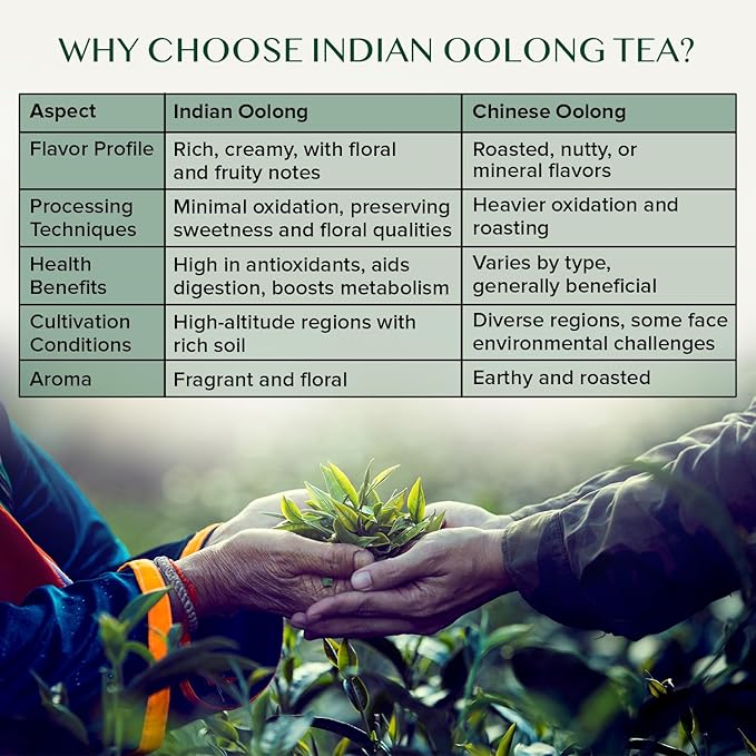 VAHDAM High Mountain Oolong Tea Leaves From Himalayas - 340g/12oz (170 Cups) High Elevation Grown | Vacuum Sealed | Brew Hot Iced Or Kombucha Tea | Loose Leaf Tea