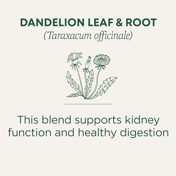 Traditional Medicinals Organic Dandelion Leaf &amp Root - Dandelion Root Tea Supports Normal Detox + Digestion - Kosher Non-GMO Caffeine-Free Compostable - 96 Tea Bags (6 Packs of 16)