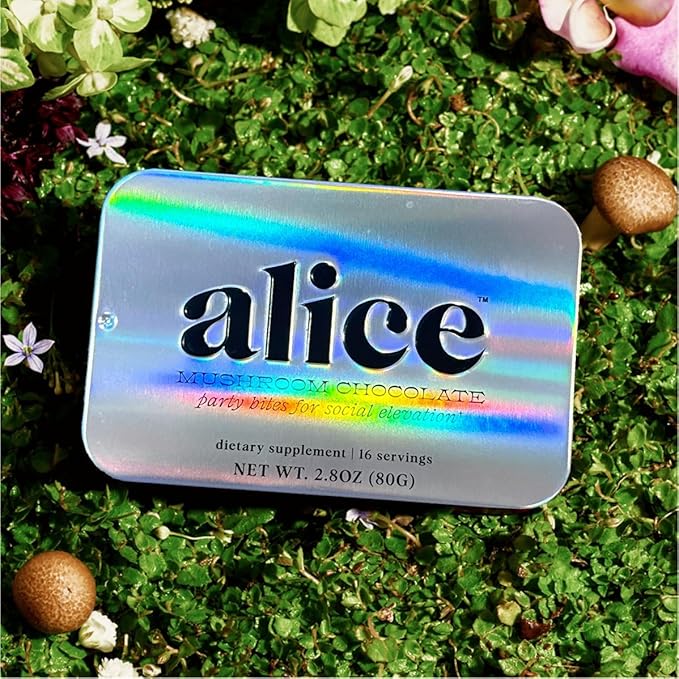 Alice Mushrooms Party Trick | Functional Mushroom Chocolate for Social Enjoyment | Cordyceps Kanna &amp Nootropics for Shared Experiences - 2 Pack