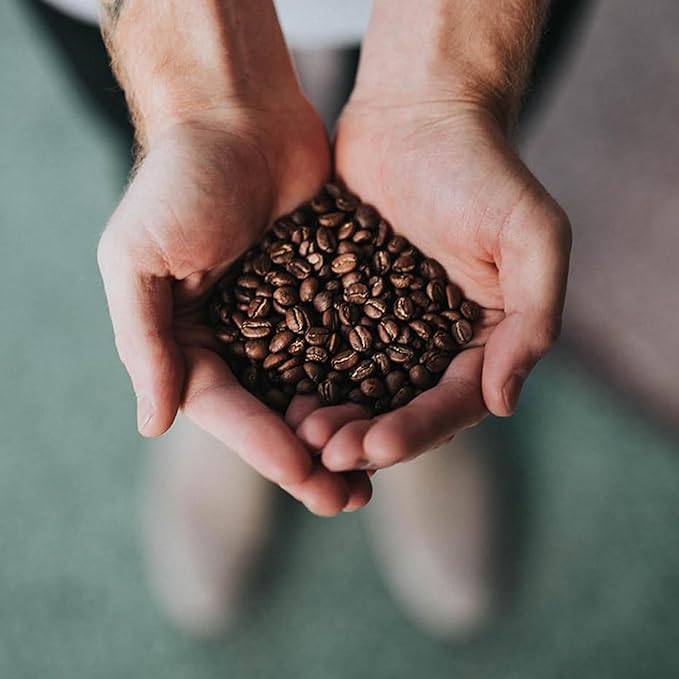 Coffee Bean Direct City Roast Brazilian Santos Ground Coffee Medium Roast 5 Pound Bag (Pack of 1)