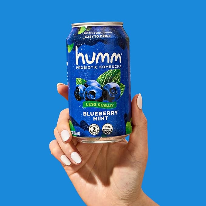 Humm Kombucha Blueberry Mint Organic Vegan &amp GMO Free (24 Pack)