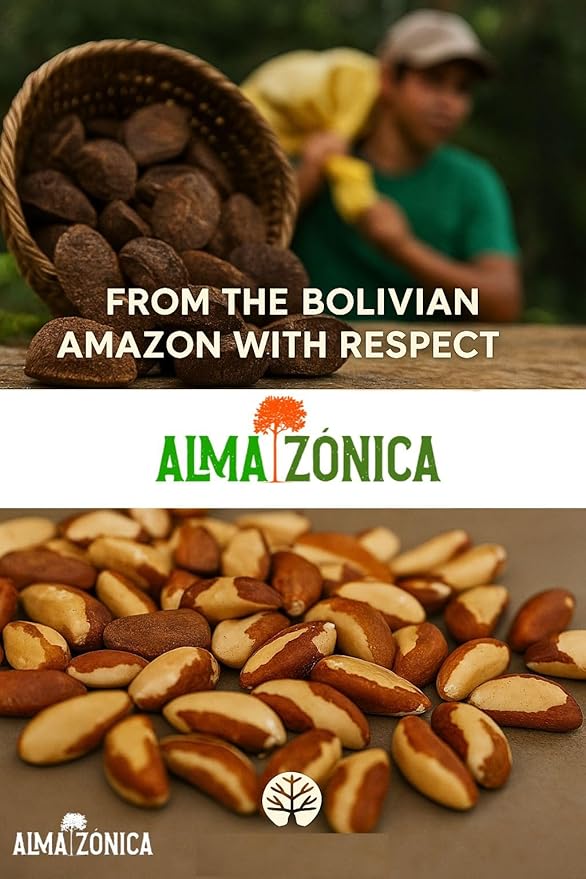 Raw Brazil Nuts 1 lb (16 oz) – Wild Harvested Unsalted Whole High Selenium Non-GMO Single-Origin Bolivia Gluten-Free Kosher Resealable Bag | ALMAZÓNICA