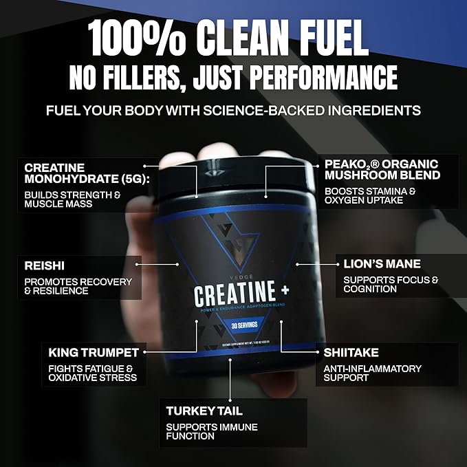 VEDGE Vanilla Protein Powder Creatine Monohydrate and Vegan Omega 3 Complete Vegan Performance Stack for Muscle Strength Endurance &amp Recovery Superfood Vitamin A Vitamin C and Amino Acids