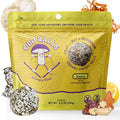 ODD BALLS Organic Energy Balls Lemon - Superfood Mushroom Snack - Running Cycling Hiking - Gels Bars Alternative - Lion's Mane Focus Cordyceps Energy - Vegan Gluten Free Snacks for Kids &amp Adu