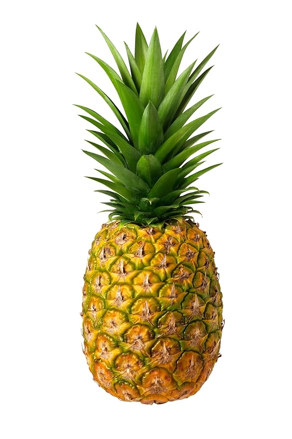 Dehydrated Pineapple slices  Cocktail Garnish Healthy Snacks Hikers Delight lunch box snacks sweet nutritious and easy to store. Vitamin C folate and dietary fiber making them a healthy snac