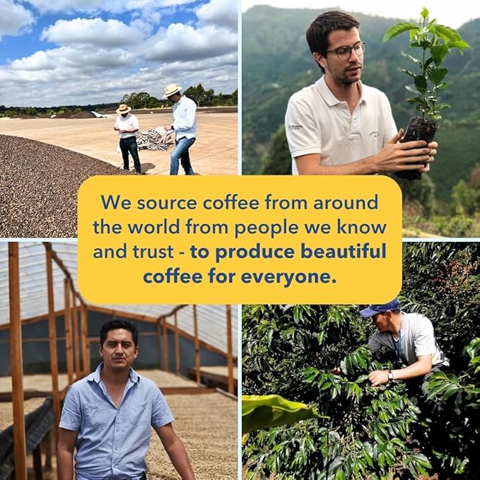 PARTNERS COFFEE ROASTERS - Whole Bean Coffee (Ghost Town - Decaf Medium Roast) 12oz - Decaf Coffee Mountain Water - Whole Coffee Beans - Lab Tested for Mycotoxins &amp Heavy Metals - Hand Roasted i