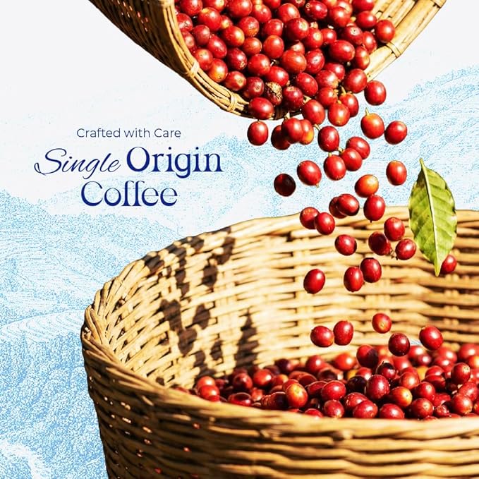 Blu Ore Premium Vietnamese Coffee Pods - Dark Roast - Recyclable Single Serve K-Cup Compatible (24 Count) - 100% Arabica Coffee No Preservatives or Artificial Flavor (Dark Roast)