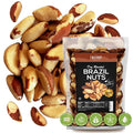 Premium Wild Harvested Dry Roasted Brazil Nuts with Sea Salt 1 lb (16 oz) – High Selenium Batch Tested Peanut &amp Gluten Free Non-GMO Kosher Resealable Bag