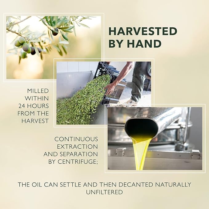 Frantoia Extra Virgin Olive Oil 33.8 fl oz (1 Liter) – Award-Winning Sicilian EVOO Made from Biancolilla Nocellara del Belice &amp Cerasuola Olives – Cold-Pressed within 24 Hours for Fresh Fruity