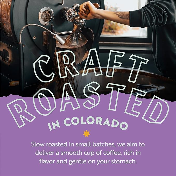 Clean Coffee Co. - Low Acid Medium Roast Tested for Molds and Toxins Costa Rica Blend Notes of Milk Chocolate Roasted Nuts Toasted Malt (Ground 12 oz Bag)