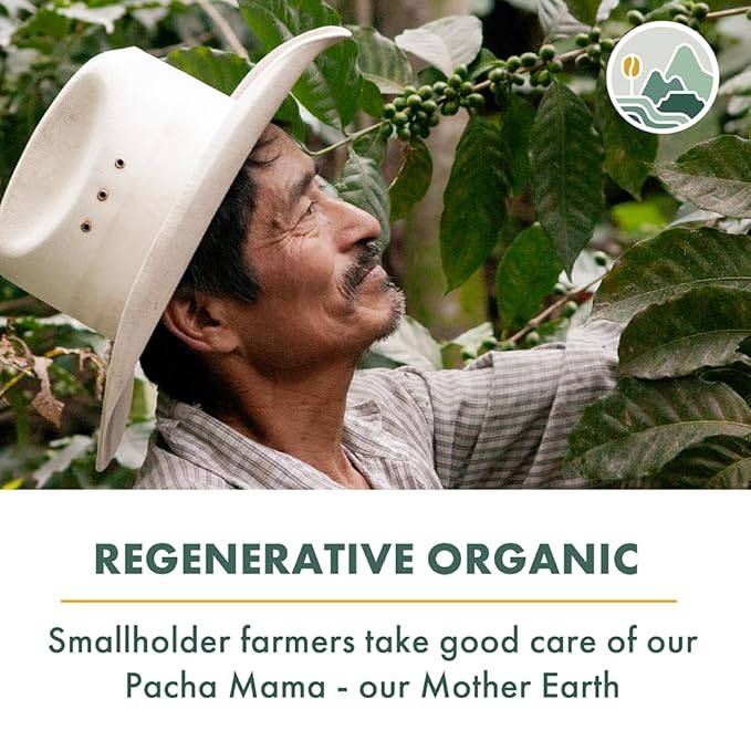 Pachamama Organic Coffee - Medium Roast Whole Bean Coffee Bundle - 2x10 oz bags - Five Sisters + Nicaragua - Farmer Owned &amp Regenerative