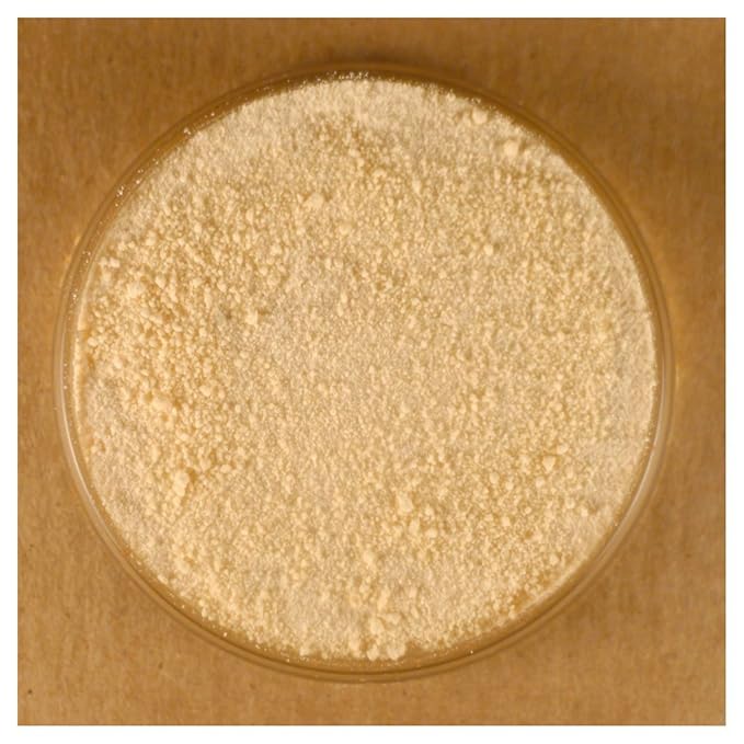 Honey Powder - 25 lbs Bulk