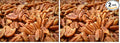Pecans Unsalted Sprouted Organic Raw Pecan Shop 12 Ounce (Pack of 2)