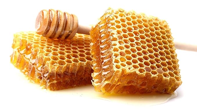 Stockins Pure Honey Comb 16 oz Amish