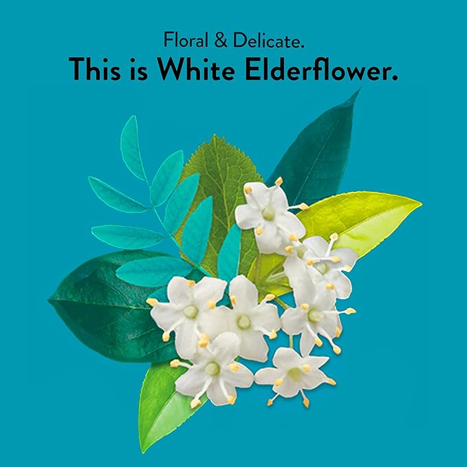Choice Organic White Elderflower &amp Green Tea Caffeinated 16 Bags (Pack Of 6)