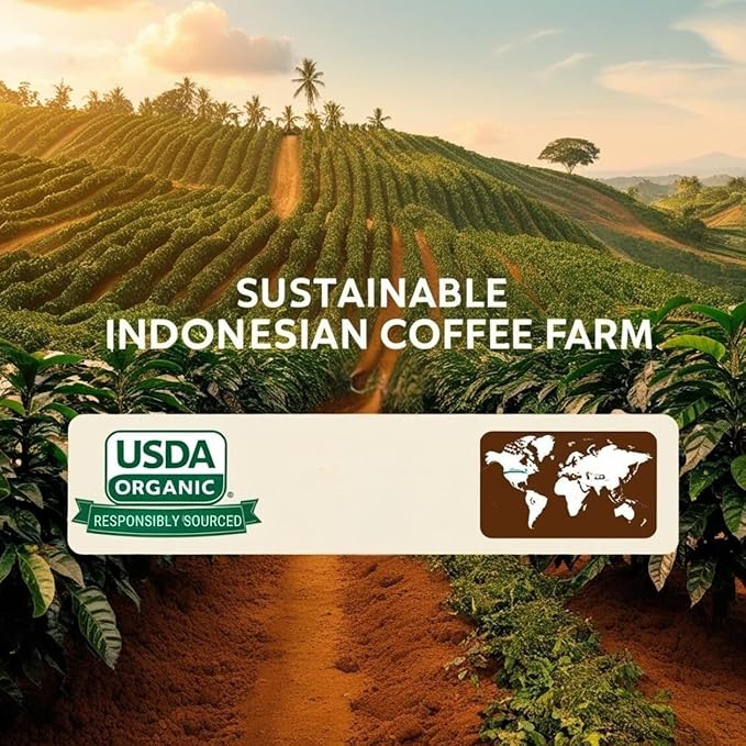 Current Crop Roasting Shop Bali Hai Organic Decaf Coffee Beans – Unroasted Green Coffee – Swiss Water Process – Indonesia Blend – Smooth &amp Balanced with Cocoa &amp Marshmallow Notes - 5 Pound Bag