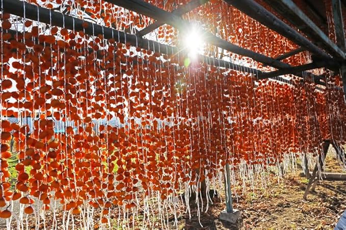 Ichida Dried Persimmons (市田柿) 500g – Premium Japanese Dried Fruit (500g (1 bag))