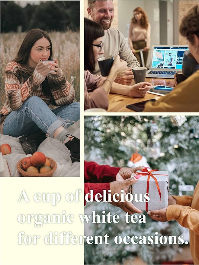 GLDNT Organic White Tea Premium Organic White Tea Loose leaf Mild &amp Smooth Taste Low Caffeine 7 Ounce
