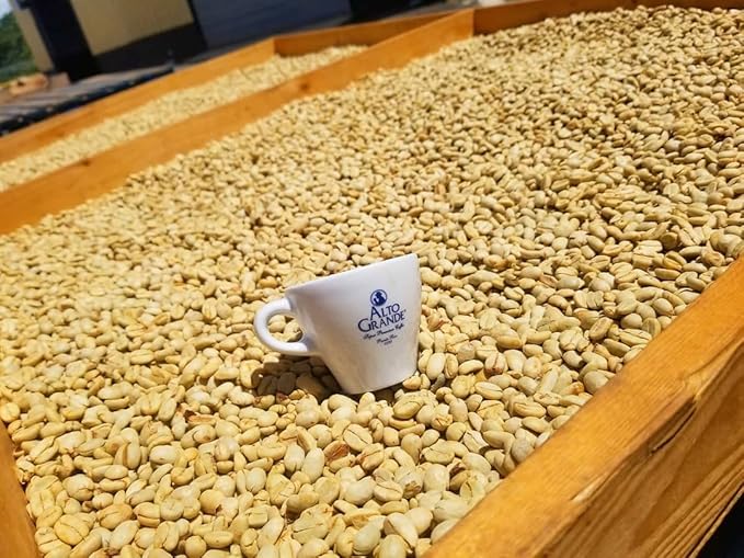 Alto Grande Medium-Dark Roast and Yaucono Medium Roast Whole Bean Coffee one bag of each 2 Pound (Pack of 2)