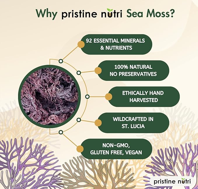 Purple Sea Moss Wildcrafted Raw Seamoss from St. Lucia Sun-Dried True Mineral-Rich Superfood Makes 160+ oz of Sea Moss Gel 100% Natural Vegan Non-GMO 8 oz bulk package