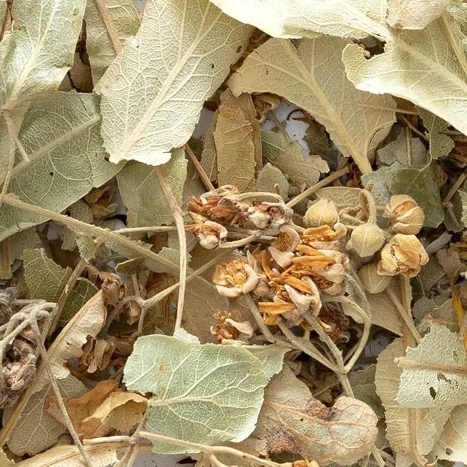 Frontier Co-op Dried Whole Linden Flowers With Bracts 8 oz Bulk Bag - For Herbal Tea Blends and DIY Lotions and Skincare