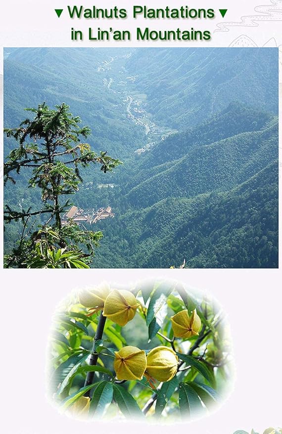 Chinese Peeled WalnutsFresh New Linan Mountain Walnut kernelsWalnut Meat/Peeled Walnuts Net 240g/8.5oz. in 15 Small Packets 临安山核桃仁 (Plain)