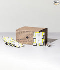 Art of Tea | French Lemon Ginger | 50 Pyramid Tea Bag Sachets