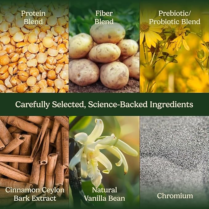 Field's Great Plant-Based Protein with Fiber for Muscle Maintenance Vegan Protein Powder Whey Free Gluten Free Dairy Free - 30g of Protein and 5g Fiber in Each Serving (Chocolate- 4 Pack)