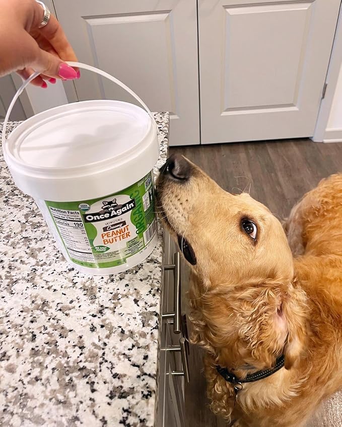 Once Again Organic Creamy Peanut Butter 5lb Pantry Pal (same as 5 jars) - Salt Free Unsweetened - USDA Organic Gluten Free Certified Vegan Kosher
