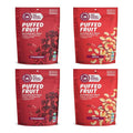 Made In Nature Organic Puffed Fruit Favorites Pack 1.1 Ounce Bag (Pack of 4) - Includes 2 Strawberry 2 Apple