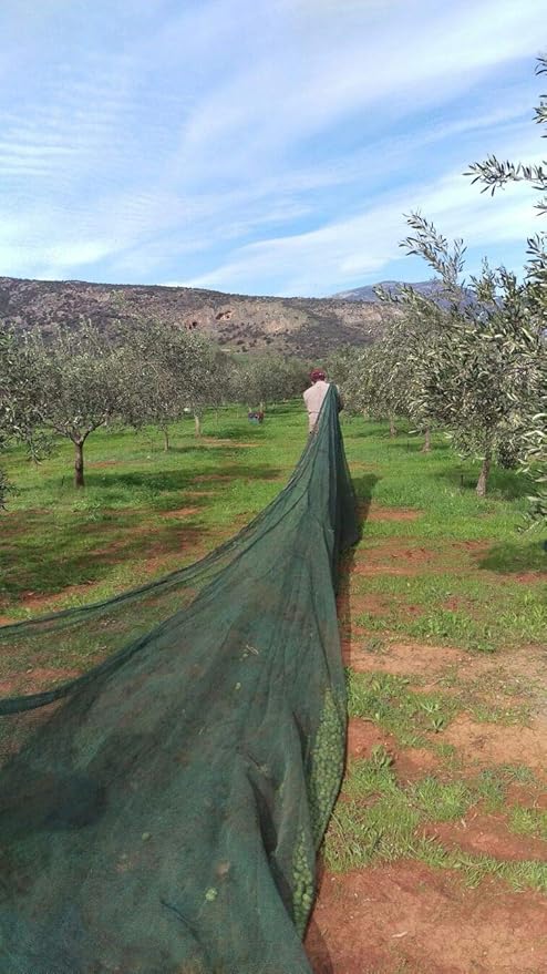 VILLAGE BATCH - AWARD WINNERS - KORONEIKI OLIVE OIL Greek Olive Oil ORGANIC COLD PRESSED OLIVE OIL Extra Virgin Olive Oil High In Polyphenols - Aceite De Oliva Extra Virgen - Olive Oil for Cooking Oil