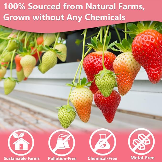 Premium Freeze Dried Strawberry Powder 4 Oz100% No Sugar AddedNatural Strawberry Powder for BakingNo Additives.
