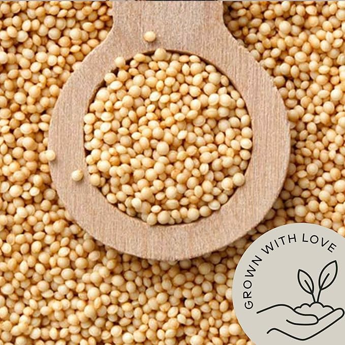 Amaranth Grain Organic (4.8 lb) - Amaranto Bulk Ancient Whole Grain Seeds - Great for Cereal Flour | USA Grown | USDA Certified Organic | Vegan-Friendly | Non-GMO | Gluten Free