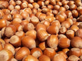ORGANIC FILBERTS SHELLED NATURAL- 24.948lb