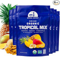 Mavuno Harvest Tropical Mix Dried Fruit Snack | Unsweetened Organic Mixed Dried Fruit | Gluten Free Healthy Snacks for Kids and Adults | No Sugar Added Vegan Non GMO | 2 Ounce Pack of 6