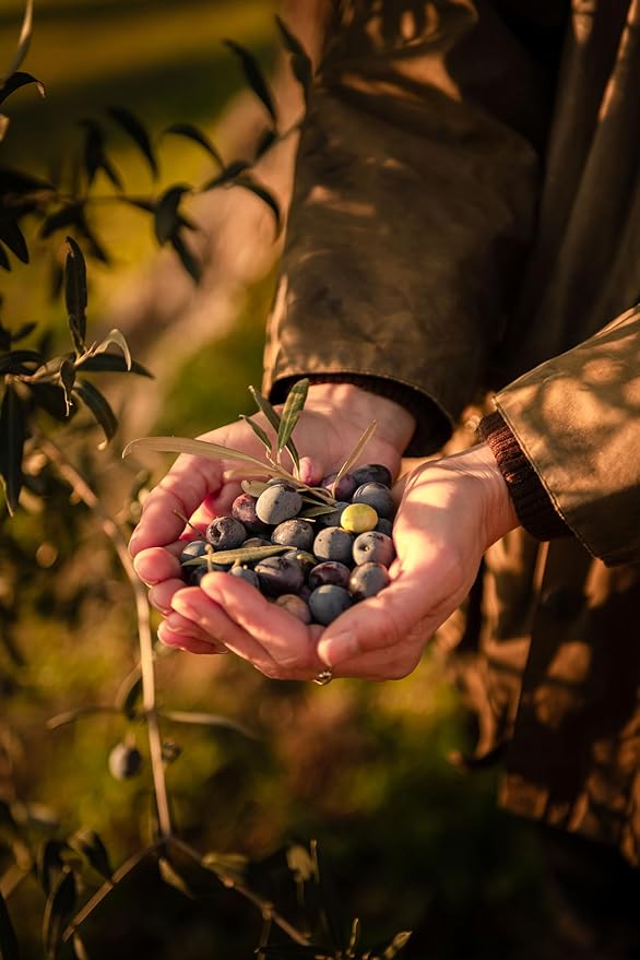 Rastrello Extra Virgin Olive Oil - 500ml Organic Cold-Pressed Hand-Harvested - Leccino &amp Moraiolo Blend from Umbria Italy