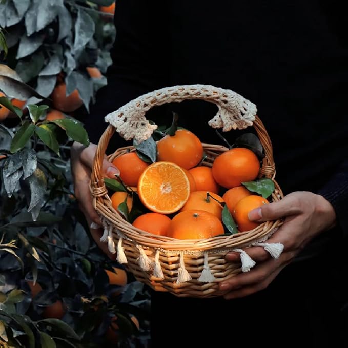 TXDYNLLK Dried Orange Slices 17.6oz(500g) Dehydrated Oranges for Vibrant Cocktails Festive Christmas Decor Aromatic Candles Creative Crafts-Citrus Wheels Perfect for Flavorful Fruit Tea