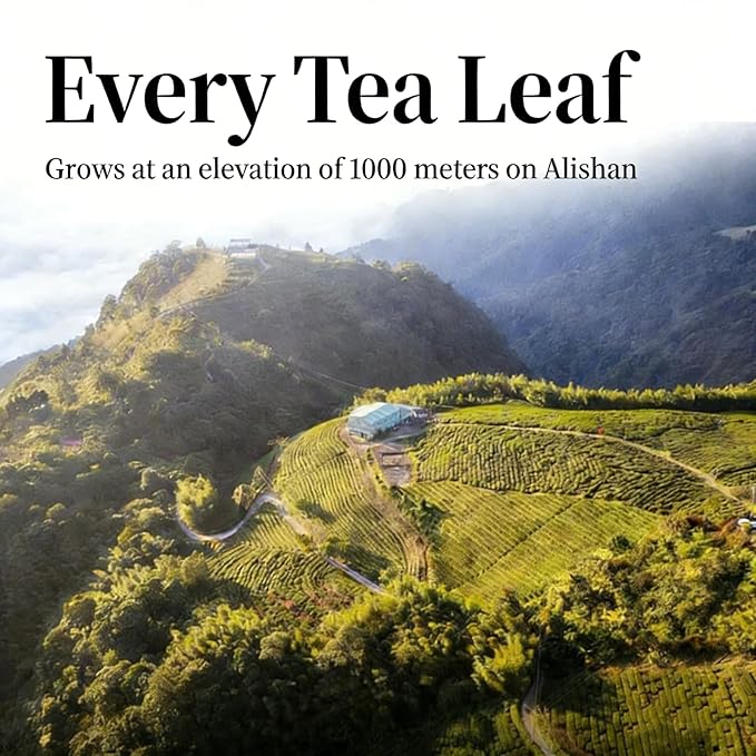 NASLAPH Alishan Oolong Tea Taiwan High Mountain Oolong Tea with Distinctive Aroma Formosa Chinese Gaoshan Ulong Tea Traditional Craftsmanship 阿里山茶 台湾高山茶 中国茶 茶 乌龙茶 8.82 Oz