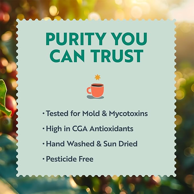Clean Coffee Co. - Low Acid Dark Roast Tested for Molds and Toxins Honduras Blend Notes of Caramel Dark Chocolate and Toasted Malts (Ground 12 oz Bag)