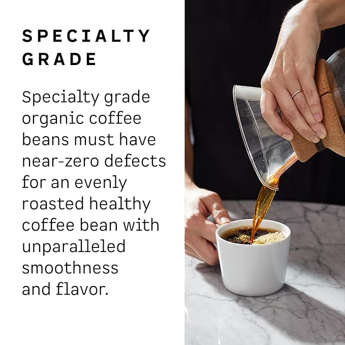 Kion Organic Ground Coffee Tested for Toxins Ethically Sourced Rich Bold and Smooth Medium Roast 12 Oz (3 Pack)