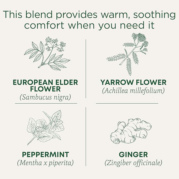 Traditional Medicinals Tea Herbal Cold Care Seasonal Tea with Elderflower Spice Kosher Non-GMO Caffeine-Free Compostable - 96 Tea Bags (6 Pack)