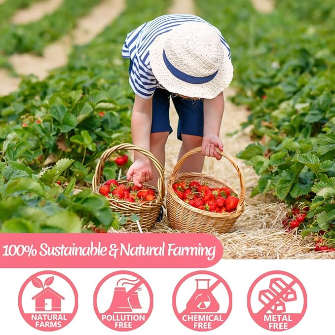 Premium Freeze Dried Strawberry Powder 1LB /453g 1 IngredientNo Sugar Added100% Natural Strawberry Powder for BakingNo Additives.